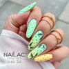 NAILAC Hybryda KOLOR 7ml. #456