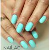 NAILAC Hybryda KOLOR 7ml. #038