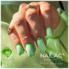 NAILAC Hybryda KOLOR 7ml. #434