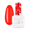 NAILAC Hybryda KOLOR 7ml. #484