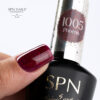 SPN Hybryda KOLOR 8ml 1005 Phoenix